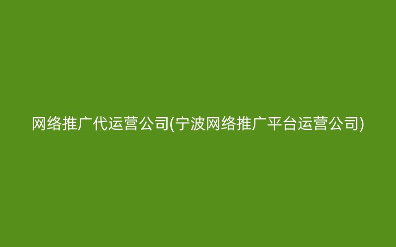 网络推广代运营公司(宁波网络推广平台运营公司)