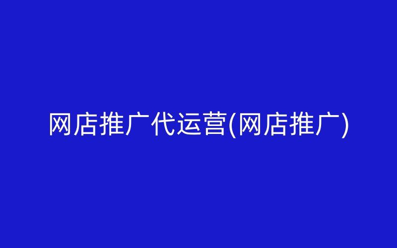 网店推广代运营(网店推广)