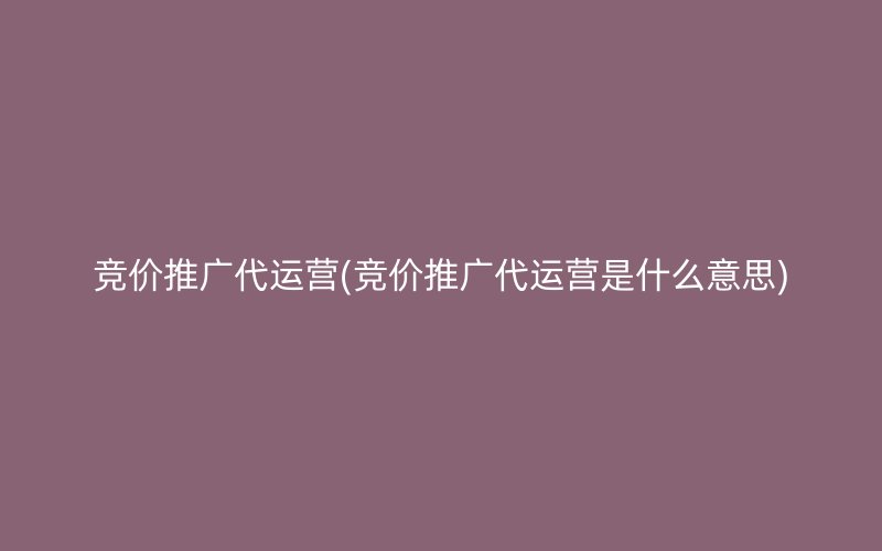 竞价推广代运营(竞价推广代运营是什么意思)