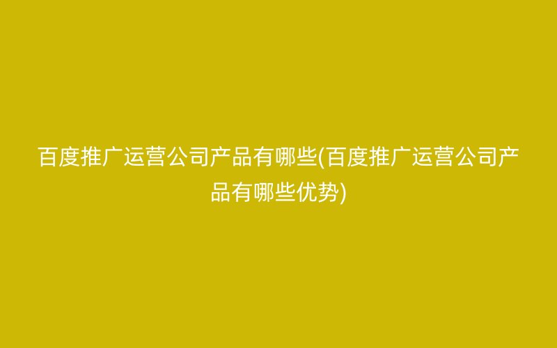 百度推广运营公司产品有哪些(百度推广运营公司产品有哪些优势)