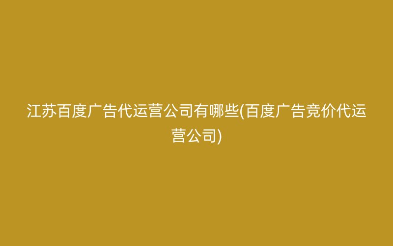 江苏百度广告代运营公司有哪些(百度广告竞价代运营公司)