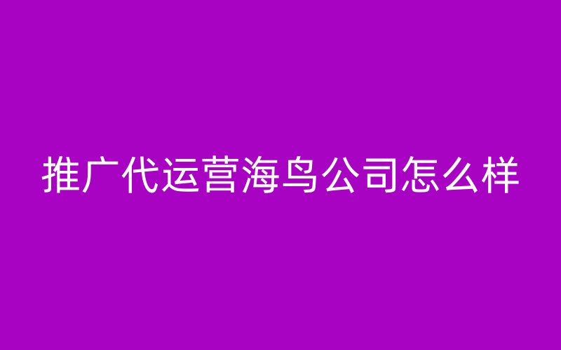 推广代运营海鸟公司怎么样