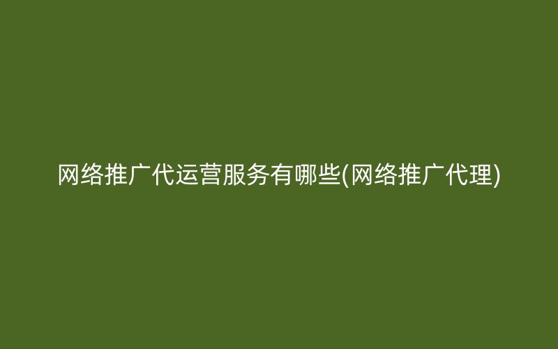 网络推广代运营服务有哪些(网络推广代理)