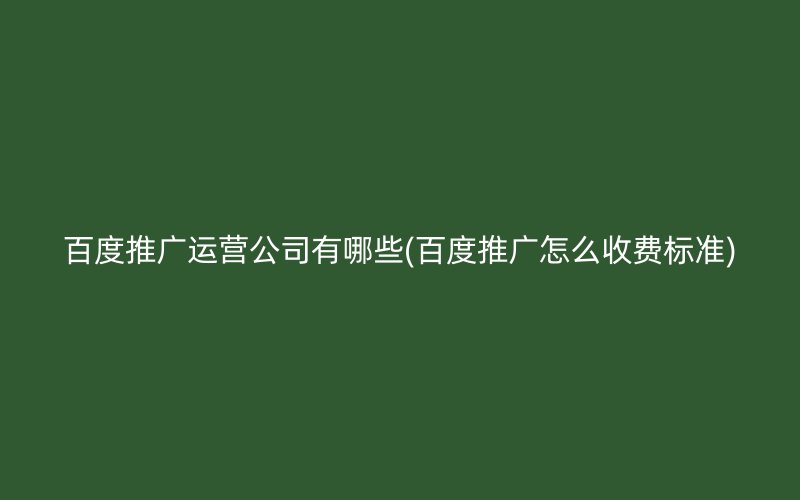 百度推广运营公司有哪些(百度推广怎么收费标准)