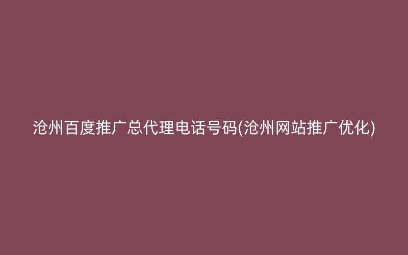 沧州百度推广总代理电话号码(沧州网站推广优化)