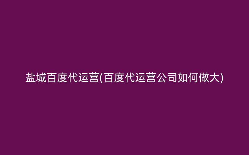 盐城百度代运营(百度代运营公司如何做大)