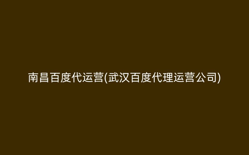 南昌百度代运营(武汉百度代理运营公司)