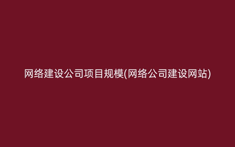 网络建设公司项目规模(网络公司建设网站)