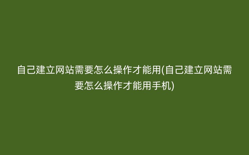 自己建立网站需要怎么操作才能用(自己建立网站需要怎么操作才能用手机)