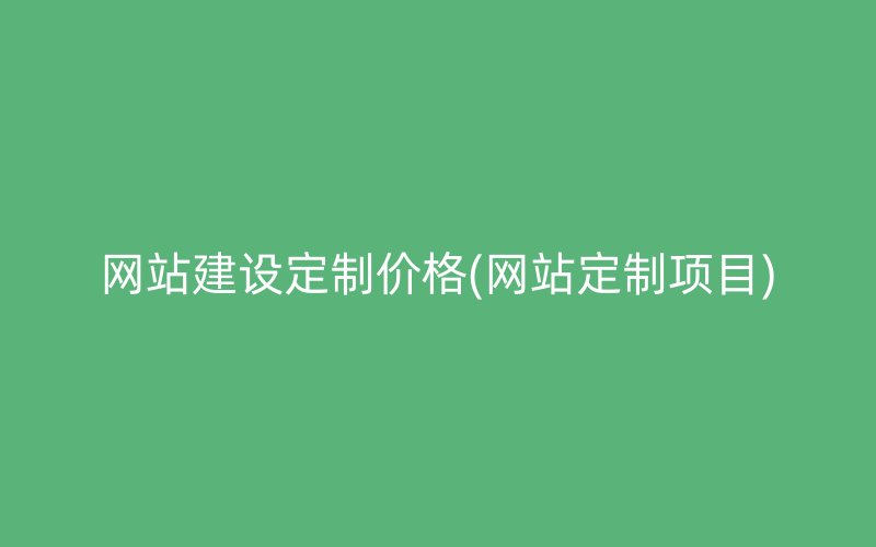 网站建设定制价格(网站定制项目)