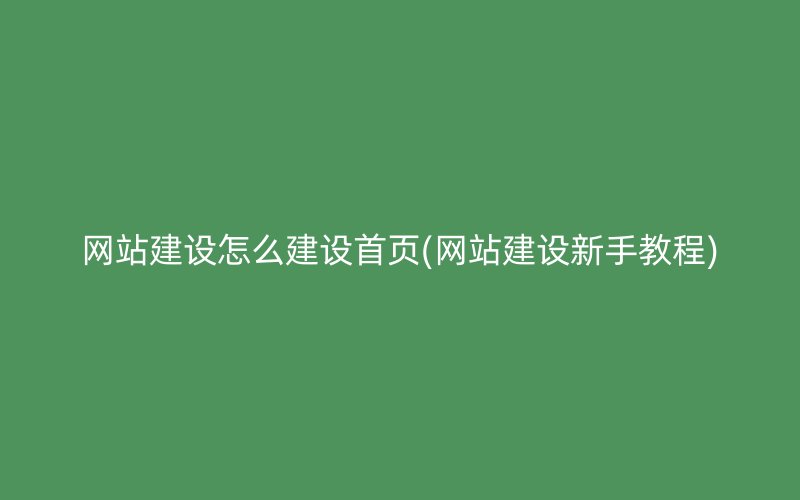 网站建设怎么建设首页(网站建设新手教程)