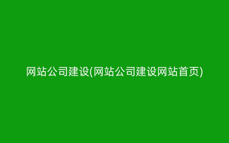 网站公司建设(网站公司建设网站首页)