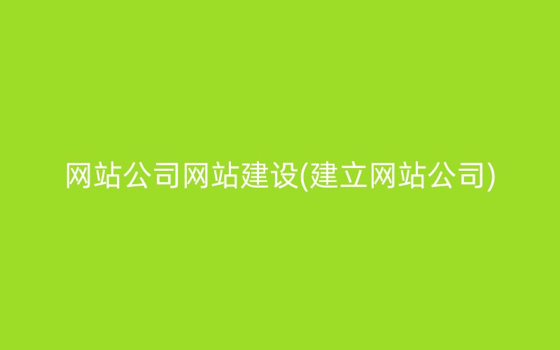 网站公司网站建设(建立网站公司)