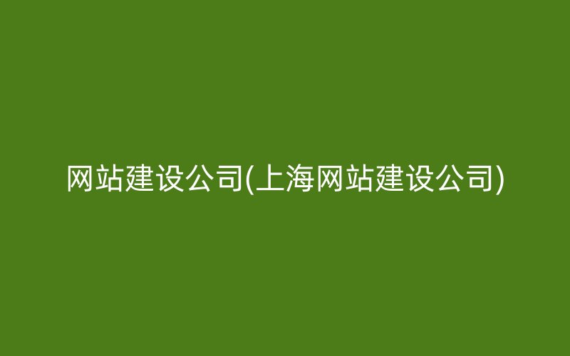 网站建设公司(上海网站建设公司)