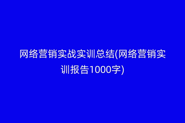 网络营销实战实训总结(网络营销实训报告1000字)