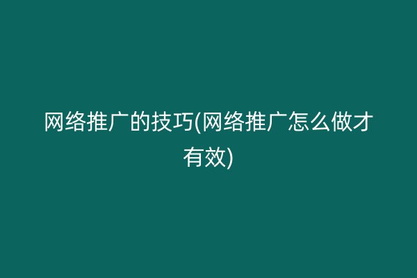 网络推广的技巧(网络推广怎么做才有效)