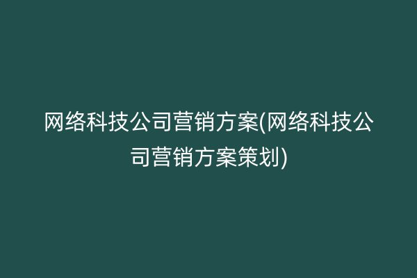 网络科技公司营销方案(网络科技公司营销方案策划)