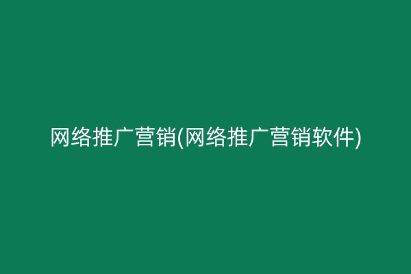 网络推广营销(网络推广营销软件)