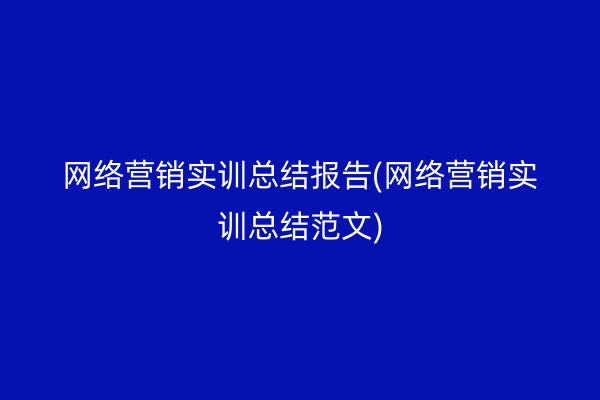 网络营销实训总结报告(网络营销实训总结范文)