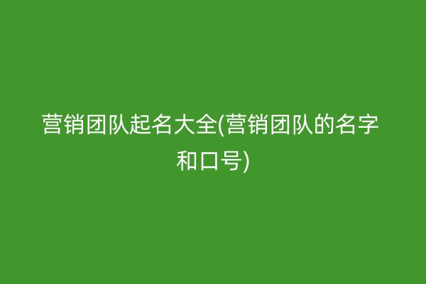 营销团队起名大全(营销团队的名字 和口号)