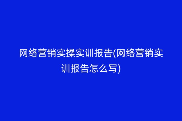 网络营销实操实训报告(网络营销实训报告怎么写)