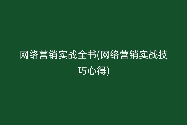 网络营销实战全书(网络营销实战技巧心得)