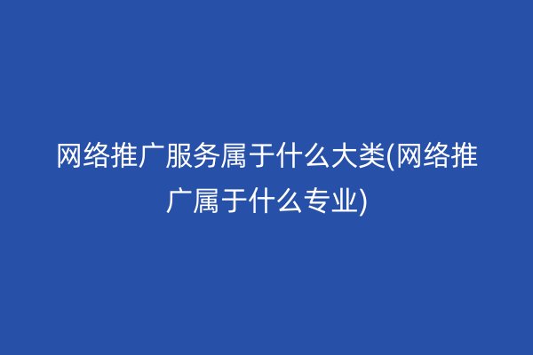 网络推广服务属于什么大类(网络推广属于什么专业)