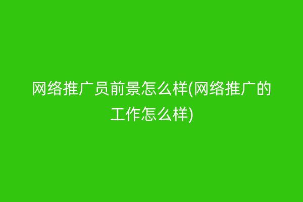 网络推广员前景怎么样(网络推广的工作怎么样)