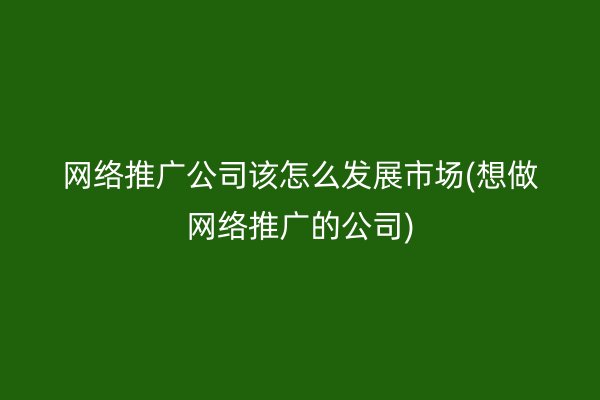 网络推广公司该怎么发展市场(想做网络推广的公司)