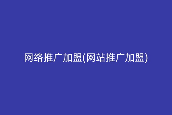 网络推广加盟(网站推广加盟)