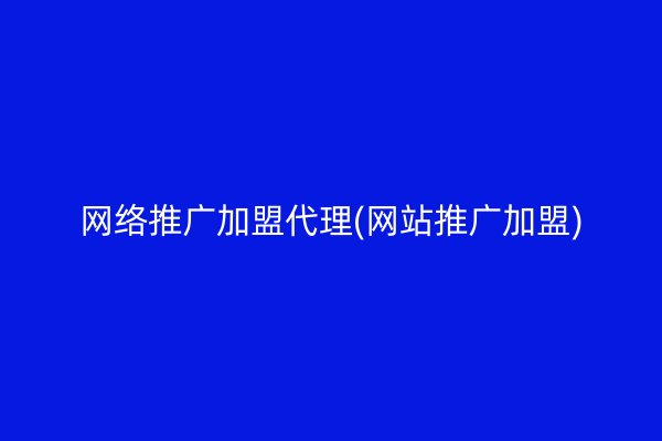 网络推广加盟代理(网站推广加盟)