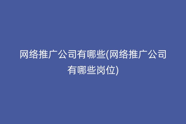 网络推广公司有哪些(网络推广公司有哪些岗位)