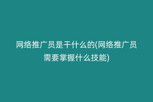 网络推广员是干什么的(网络推广员需要掌握什么技能)