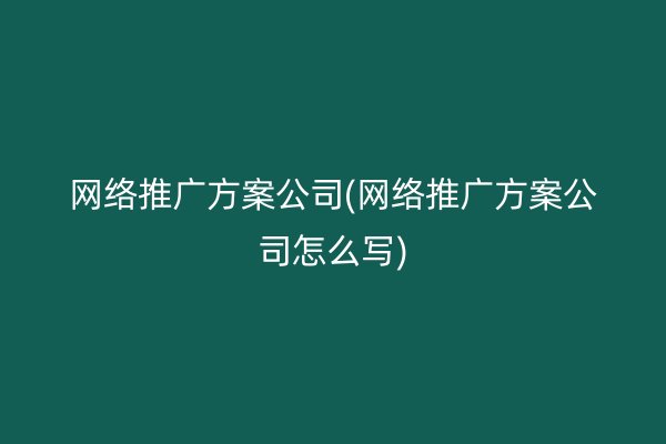 网络推广方案公司(网络推广方案公司怎么写)