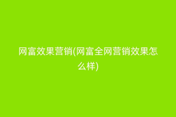 网富效果营销(网富全网营销效果怎么样)