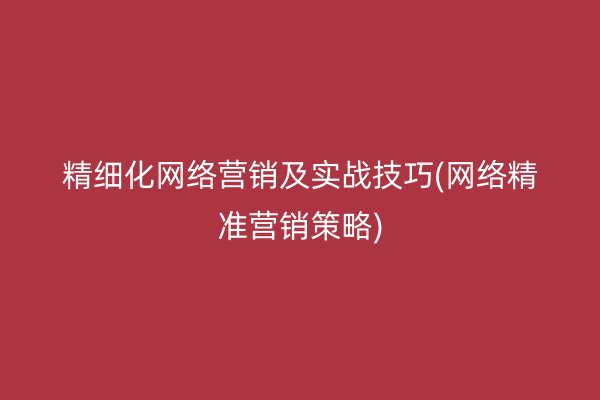 精细化网络营销及实战技巧(网络精准营销策略)