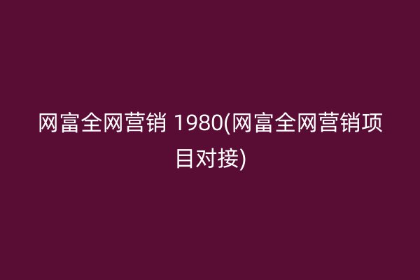 网富全网营销 1980(网富全网营销项目对接)