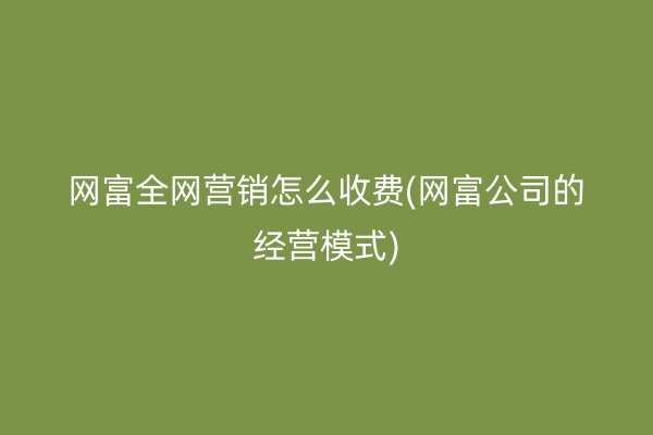 网富全网营销怎么收费(网富公司的经营模式)