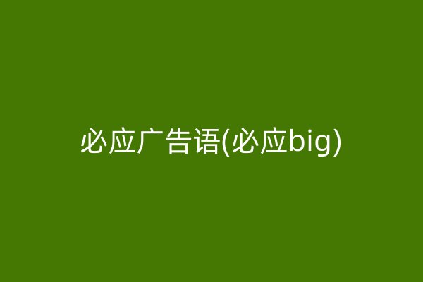 必应广告语(必应big)