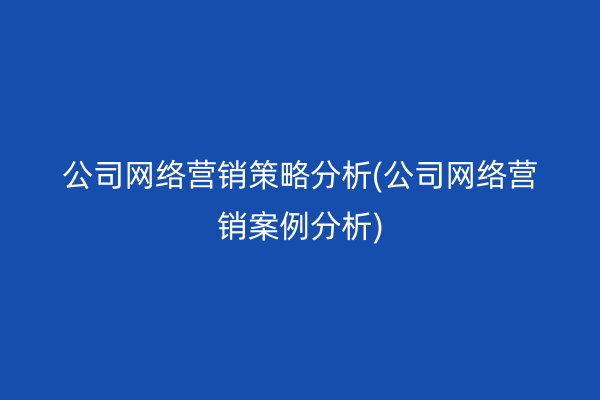 公司网络营销策略分析(公司网络营销案例分析)