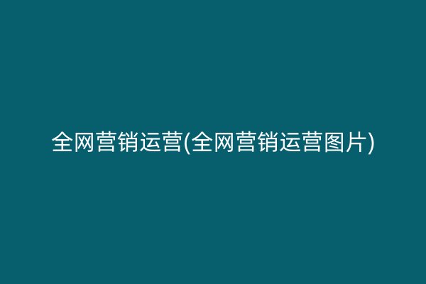 全网营销运营(全网营销运营图片)