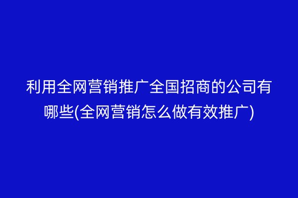 利用全网营销推广全国招商的公司有哪些(全网营销怎么做有效推广)