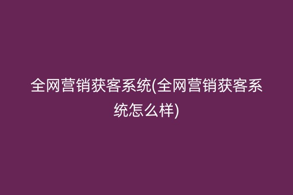 全网营销获客系统(全网营销获客系统怎么样)