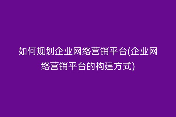 如何规划企业网络营销平台(企业网络营销平台的构建方式)