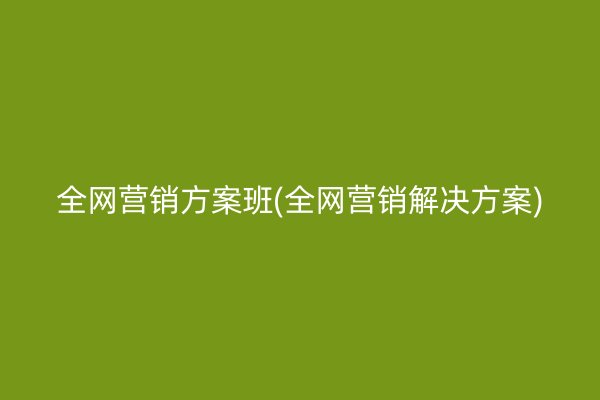 全网营销方案班(全网营销解决方案)