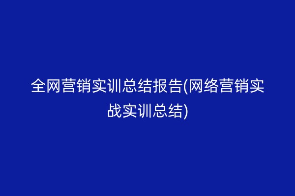 全网营销实训总结报告(网络营销实战实训总结)