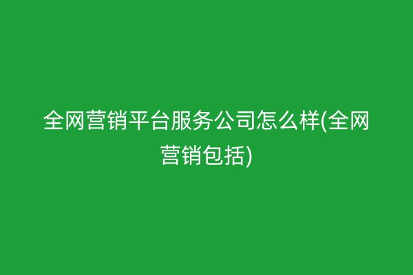 全网营销平台服务公司怎么样(全网营销包括)