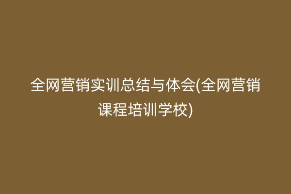 全网营销实训总结与体会(全网营销课程培训学校)