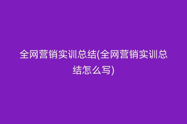 全网营销实训总结(全网营销实训总结怎么写)