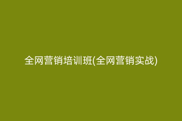 全网营销培训班(全网营销实战)